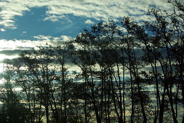 Free download Sky Dawn -  free photo or picture to be edited with GIMP online image editor