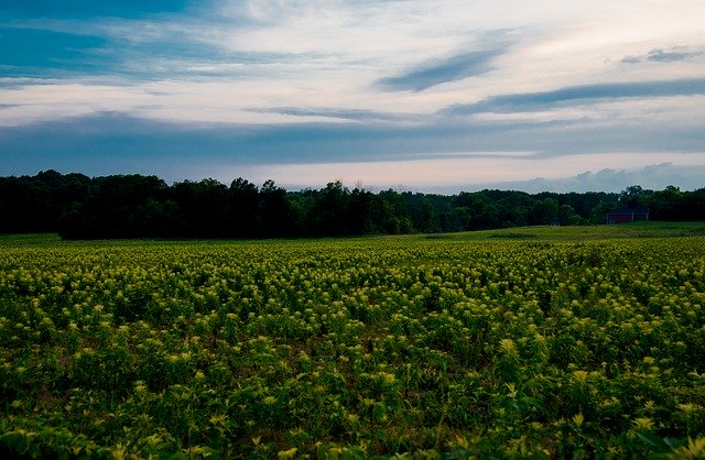 Bezpłatne pobieranie Sky Field Farm - bezpłatne zdjęcie lub obraz do edycji za pomocą internetowego edytora obrazów GIMP