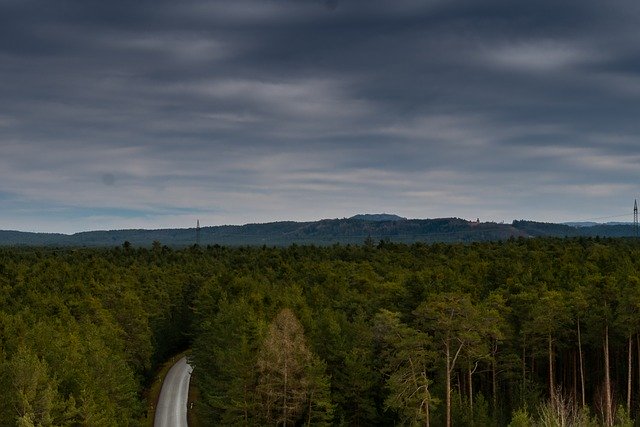 Free download Sky Forest Trees -  free photo or picture to be edited with GIMP online image editor
