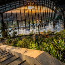 Sky Garden  screen for extension Chrome web store in OffiDocs Chromium