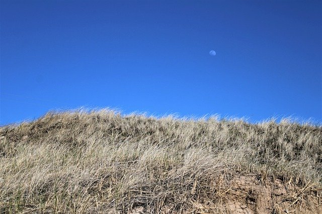 Free download sky grass landscape nature field free picture to be edited with GIMP free online image editor
