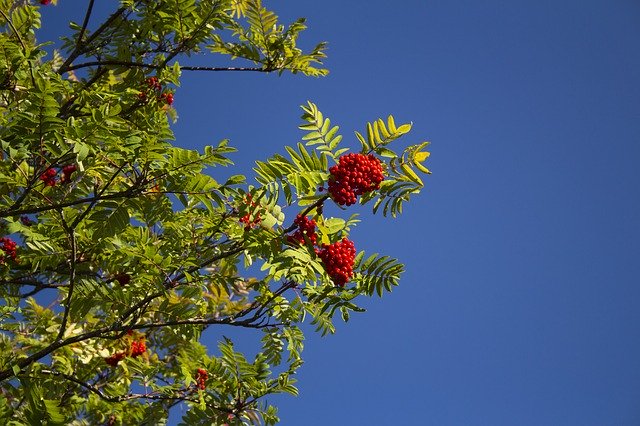 無料ダウンロードSkyIncompleteNature-GIMPオンライン画像エディタで編集できる無料の写真または画像