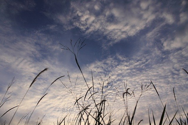 Templat Photo Sky Landscape Nature - untuk OffiDocs