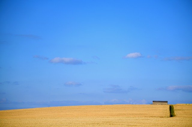 دانلود رایگان Sky Summer Cereals - عکس یا تصویر رایگان رایگان برای ویرایش با ویرایشگر تصویر آنلاین GIMP