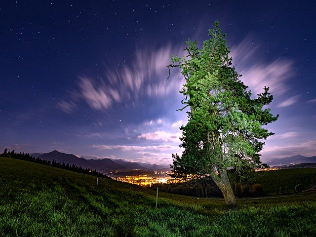 Sky Tree Outdoor 무료 다운로드 - 무료 사진 또는 GIMP 온라인 이미지 편집기로 편집할 사진