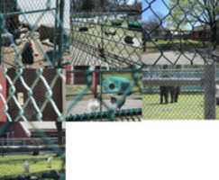 Free download Slater Farm Animals ( A Photo Collage) free photo or picture to be edited with GIMP online image editor