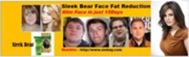 Free download Sleek Bear Face Fat Reduction withou Surgery free photo or picture to be edited with GIMP online image editor