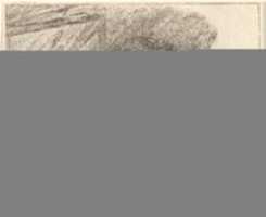 Sleeping Dog GIMP online editor free Free download Sleeping Dog free photo or picture to be edited with GIMP online image editor