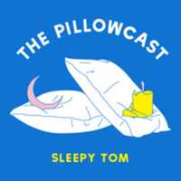 Free download Sleepy Tom Pillowcast 2019 ART free photo or picture to be edited with GIMP online image editor