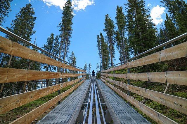 Free download Slide Alpine Coaster -  free photo or picture to be edited with GIMP online image editor