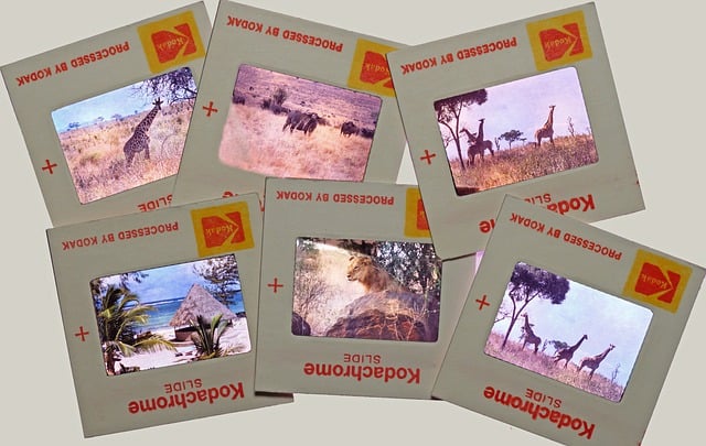 Free download slide diapositive photography free picture to be edited with GIMP free online image editor