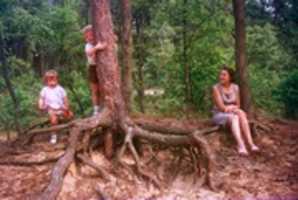 Free download Slides from the Past - Wiegman Slides B06 free photo or picture to be edited with GIMP online image editor