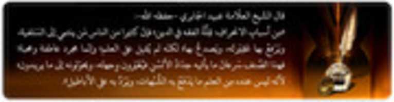 Free download Slideshow Rabi 311111 free photo or picture to be edited with GIMP online image editor