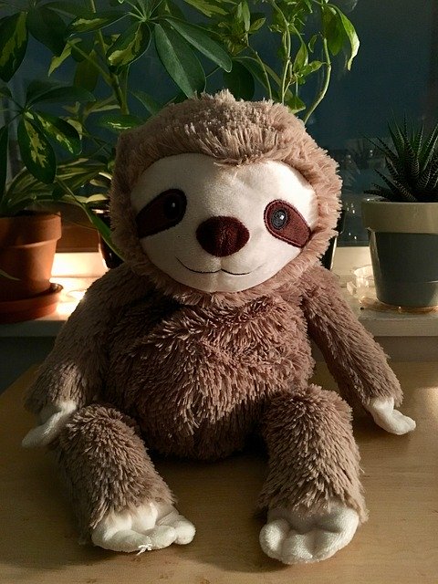 Muat turun percuma Sloth Stuffed Animal Cute - foto atau gambar percuma untuk diedit dengan editor imej dalam talian GIMP