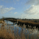 Small bridge across the river  screen for extension Chrome web store in OffiDocs Chromium