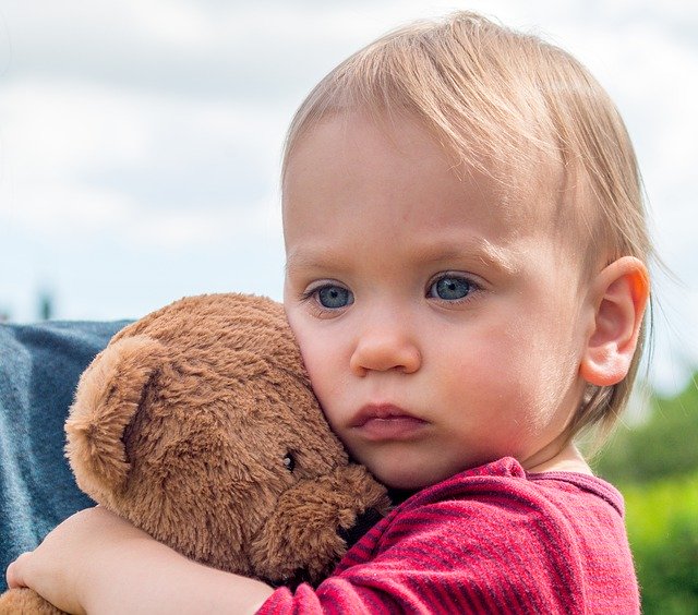 Ücretsiz indir Küçük Çocuk Ayı Teddy - GIMP çevrimiçi resim düzenleyici ile düzenlenecek ücretsiz fotoğraf veya resim