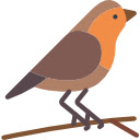Small Grey Bird on a Green Bush  screen for extension Chrome web store in OffiDocs Chromium