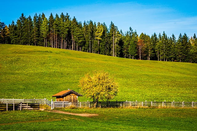 Free download small house among green meadow free picture to be edited with GIMP free online image editor