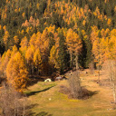Small house deep in the yellowforest  screen for extension Chrome web store in OffiDocs Chromium