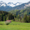 Small house on green steppe  screen for extension Chrome web store in OffiDocs Chromium