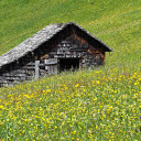 Small house on the prairie  screen for extension Chrome web store in OffiDocs Chromium