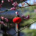 Small lanterns  screen for extension Chrome web store in OffiDocs Chromium