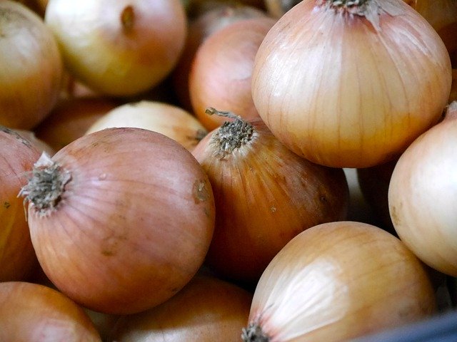 Template Photo Small Onions Onion -  for OffiDocs