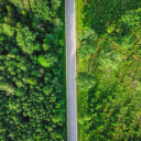 Small road through the forest  screen for extension Chrome web store in OffiDocs Chromium