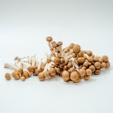 Small, sweet smelling mushrooms  screen for extension Chrome web store in OffiDocs Chromium