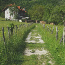 Small thorn fence  screen for extension Chrome web store in OffiDocs Chromium