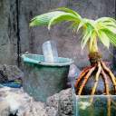 Small tree and roots  screen for extension Chrome web store in OffiDocs Chromium