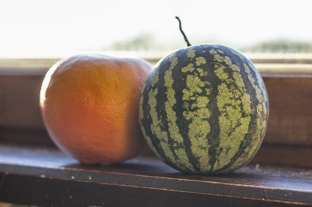 Free download Small Watermelon Grapefruit -  free photo or picture to be edited with GIMP online image editor