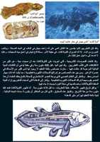 Free download smdehuyp26hwetfmnvsx free photo or picture to be edited with GIMP online image editor