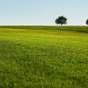 Smooth Green Grass  screen for extension Chrome web store in OffiDocs Chromium