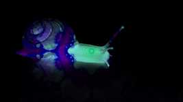 Free download Snail Abstract Pattern -  free video to be edited with OpenShot online video editor