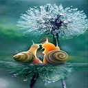 snail and dandelion wallpaper  screen for extension Chrome web store in OffiDocs Chromium