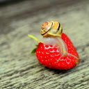 Snail and strawberry  screen for extension Chrome web store in OffiDocs Chromium