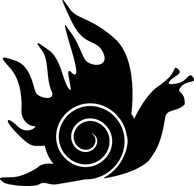 Free download Snail Animal Mollusk - Free vector graphic on Pixabay free illustration to be edited with GIMP free online image editor