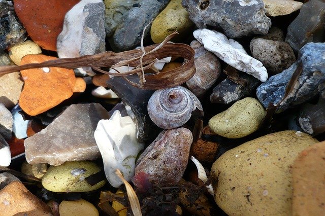 ดาวน์โหลดฟรี Snail Beach Stones - ภาพถ่ายหรือรูปภาพฟรีที่จะแก้ไขด้วยโปรแกรมแก้ไขรูปภาพออนไลน์ GIMP