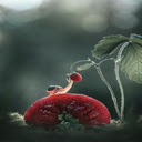 Snail crawling on a strawberry wallpaper  screen for extension Chrome web store in OffiDocs Chromium