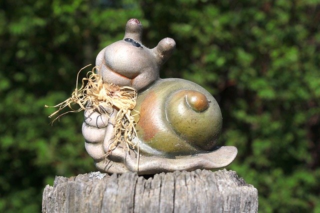 Free download Snail Dreamy Casing -  free photo or picture to be edited with GIMP online image editor