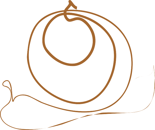 Free download Snail Shell Abstract - Free vector graphic on Pixabay free illustration to be edited with GIMP free online image editor