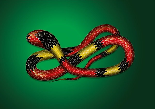 Free download Snake Animals Nature -  free illustration to be edited with GIMP free online image editor