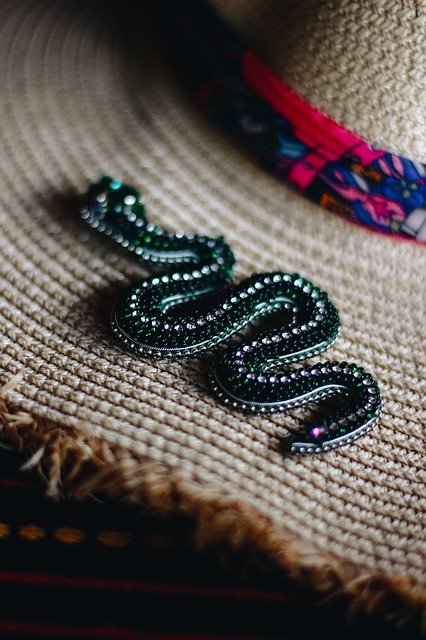 Free download Snake Brooch Woman -  free photo or picture to be edited with GIMP online image editor
