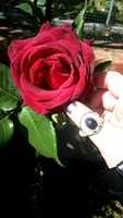 Free download Snapchat 8849080105311385913 free photo or picture to be edited with GIMP online image editor