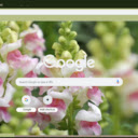 Snapdragon  screen for extension Chrome web store in OffiDocs Chromium