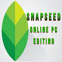 Snapseed Online PC Photo Editing  screen for extension Chrome web store in OffiDocs Chromium