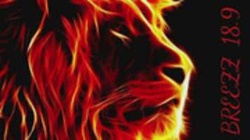 Free download Snapshot( 130) Copy free photo or picture to be edited with GIMP online image editor