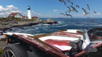 Free download Snazzy Visits A Lighthouse With Sea Gulls free photo or picture to be edited with GIMP online image editor