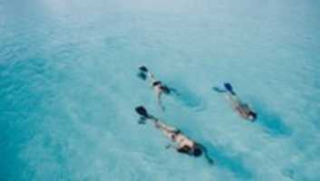 Free download Snorkeling In Miami Beach free photo or picture to be edited with GIMP online image editor